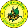 ขออนุมัติเผยแพร่ข้อมูลเงินสะสมและโครงการที่ใช้จ่ายจากเงินสะสม ประจำปีงบประมาณ พ.ศ.2568